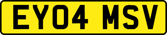 EY04MSV