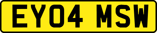 EY04MSW