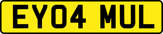 EY04MUL