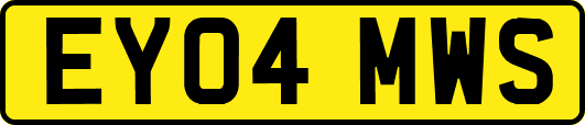 EY04MWS
