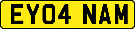 EY04NAM