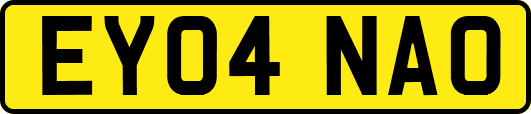 EY04NAO