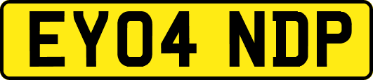 EY04NDP