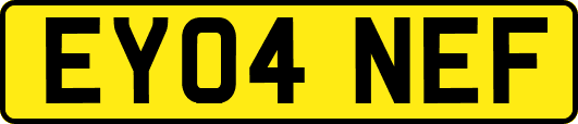EY04NEF