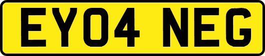 EY04NEG