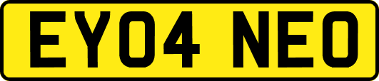 EY04NEO