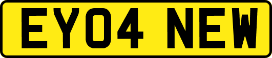 EY04NEW