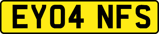EY04NFS