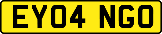 EY04NGO