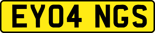 EY04NGS