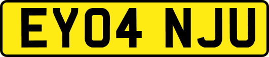EY04NJU