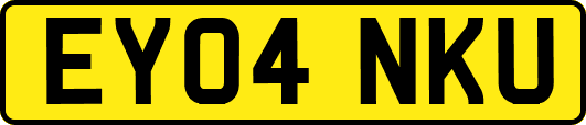 EY04NKU