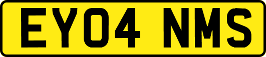 EY04NMS