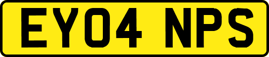 EY04NPS