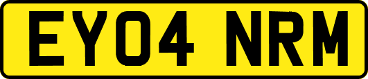 EY04NRM