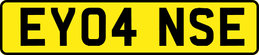 EY04NSE