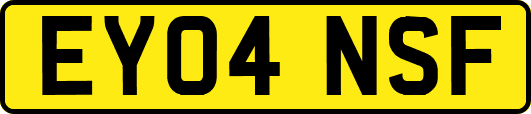 EY04NSF