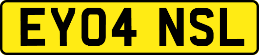 EY04NSL