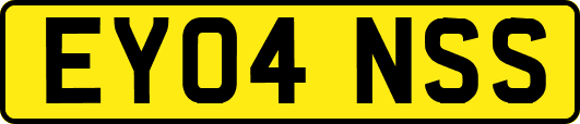 EY04NSS