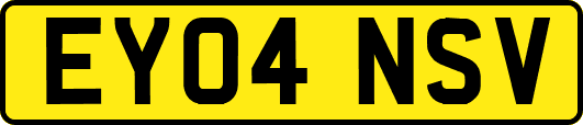 EY04NSV