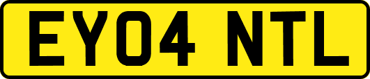 EY04NTL