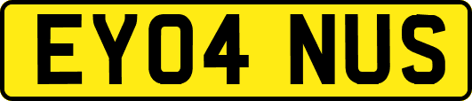 EY04NUS