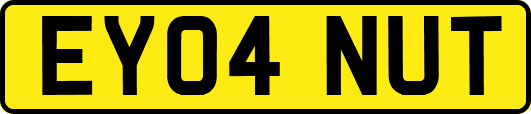 EY04NUT