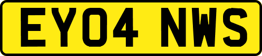 EY04NWS