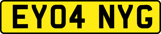 EY04NYG
