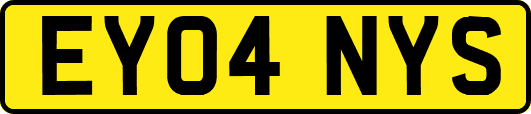 EY04NYS