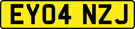 EY04NZJ