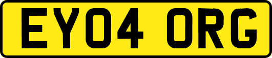 EY04ORG