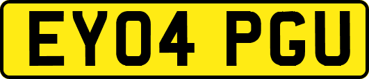 EY04PGU