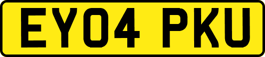 EY04PKU