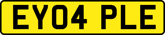 EY04PLE