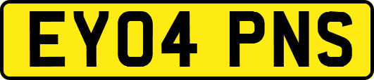 EY04PNS