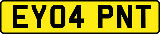 EY04PNT