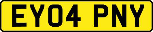 EY04PNY