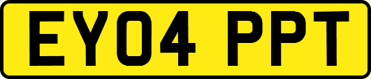 EY04PPT
