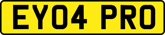 EY04PRO