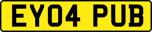 EY04PUB