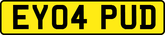EY04PUD
