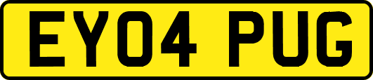 EY04PUG