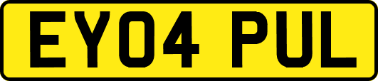 EY04PUL