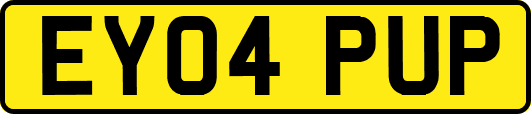 EY04PUP