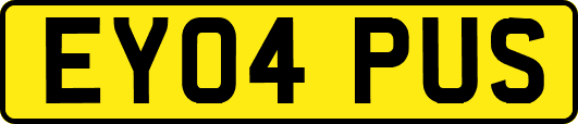 EY04PUS
