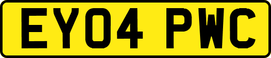 EY04PWC