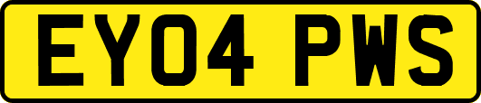 EY04PWS