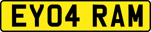 EY04RAM