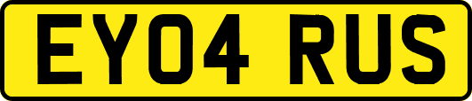 EY04RUS